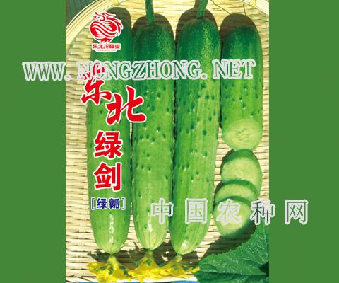 东北绿剑